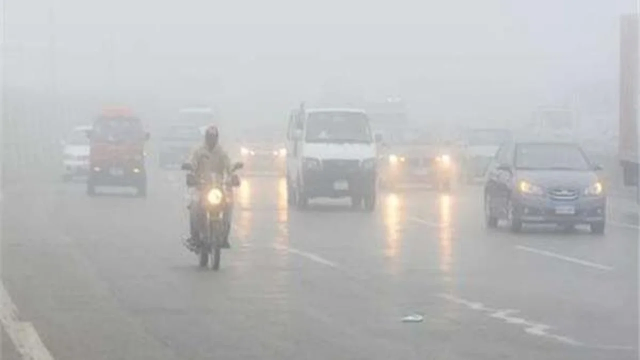 البرودة الشديدة تهيمن على سماء مصر ليلًا وتحذيرات من كثافة الشبورة المائية على الطرق السريعة.